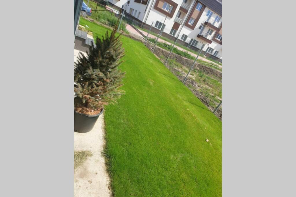 Garden Leisure Apartments Braşov Exterior foto